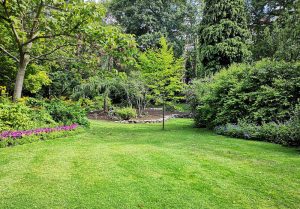 Optimiser l'expérience du jardin à Sonthonnax-la-Montagne